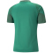 PUMA teamCUP Trainingsshirt Herren 05 - pepper green XS