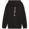 PUMA BMW M Motorsport Essentials+ Fleece Hoodie Herren 01 - PUMA black L