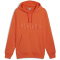 PUMA Porsche Legacy Essentials Hoodie Herren 07 - redmazing S