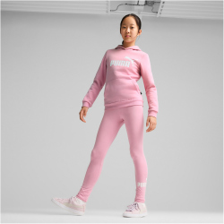 PUMA Essentials Logo Hoodie M&auml;dchen 51 - mauved out 110