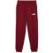 PUMA Ess+ Metallic 2 Col Logo Fleece-Jogginghose CL Jungen 13 - intense red 152