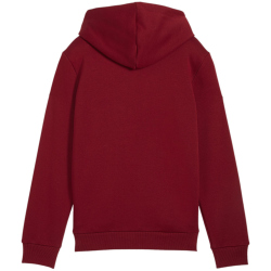 PUMA Ess+ Metallic 2 Col Big Logo Fleece-Hoodie Jungen 13 - intense red 152