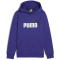 PUMA Ess+ Metallic 2 Col Big Logo Fleece-Hoodie Jungen 05 - lapis lazuli 140
