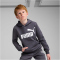 PUMA Essentials Big Logo Fleece-Hoodie Jungen 23 - galactic gray 104