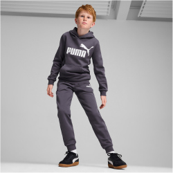 PUMA Essentials Big Logo Fleece-Hoodie Jungen 23 - galactic gray 152