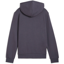 PUMA Essentials Big Logo Fleece-Hoodie Jungen 23 - galactic gray 152