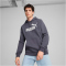 PUMA Essentials Big Logo Fleece-Hoodie Herren 23 - galactic gray M