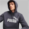 PUMA Essentials Big Logo Fleece-Hoodie Herren 23 - galactic gray XL