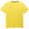 PUMA Finisher Trainingsshirt Herren 05 - yellow blaze XS