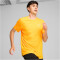 PUMA Run Favorite Velocity Laufshirt Herren 38 - sun stream S