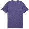 PUMA Train Favorite Heather Cat Trainingsshirt Herren 27 - lapis lazuli heather S