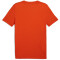 PUMA Train Favorite Blaster Trainingsshirt Herren 70 - redmazing XL