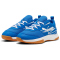 PUMA Varion II Hallenschuhe Kinder 03 - PUMA team royal/PUMA white/gum 34