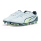 PUMA King Pro FG/AG Fußballschuhe 03 - frosted dew/fizzy apple/gray skies 41