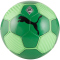 PUMA Borussia M&ouml;nchengladbach Essentials Miniball 24 - archive green/fluro green pes Mini