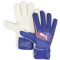PUMA Ultra Match Protect RC Torwarthandschuhe 01 - lapis lazuli/sunset glow 8.5