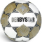 DERBYSTAR Brillant TT Trainingsball weiss/gold/silber 5