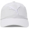 PUMA Essentials Cat Logo Baseballcap 15 - silver mist