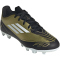 adidas F50 Club Messi FxG Multi-Ground Fußballschuhe Kinder