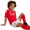adidas SL Benfica Lissabon Heim Minikit 2024/25 Kinder