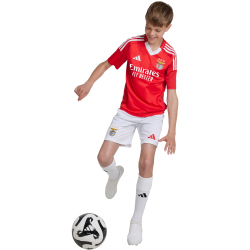 adidas SL Benfica Lissabon Heimtrikot 2024/25 Kinder