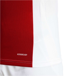 adidas Ajax Amsterdam Heimtrikot 2024/25 Herren