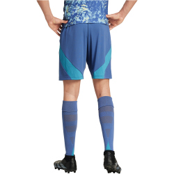 adidas Ajax Amsterdam Ausw&auml;rtsshorts 2024/25 Herren