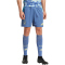 adidas Ajax Amsterdam Auswärtsshorts 2024/25 Herren