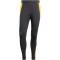adidas JFF Jamaika Tiro 24 Trainingshose 2024/25 Herren
