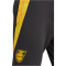 adidas JFF Jamaika Tiro 24 Trainingshose 2024/25 Herren