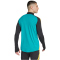adidas JFF Jamaika Trainingsshirt 2024/25 Herren