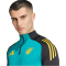 adidas JFF Jamaika Trainingsshirt 2024/25 Herren