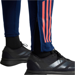 adidas Manchester United Tiro 24 Trainingshose 2024/25...