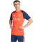 adidas Manchester United Tiro 24 Trainingstrikot 2024/25 Herren
