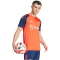 adidas Manchester United Tiro 24 Trainingstrikot 2024/25 Herren