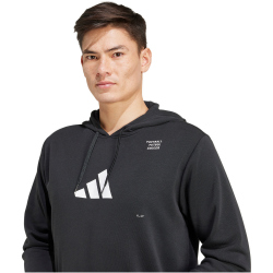 adidas Football Category Graphic Hoodie Herren