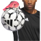 adidas Predator Training RC Torwarthandschuhe Herren