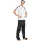 adidas Juventus Turin DNA Poloshirt 2024/25 Herren
