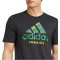 adidas JFF Jamaika SZN Graphic T-Shirt 2024/25 Herren