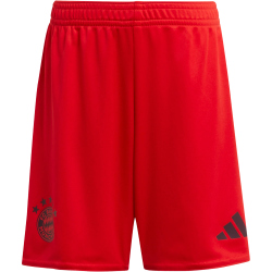 adidas FC Bayern M&uuml;nchen Heim Minikit 2024/25 Kinder