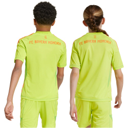 adidas FC Bayern M&uuml;nchen Torwarttrikot 2024/25 Kinder