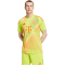adidas FC Bayern München Torwarttrikot 2024/25 Herren