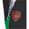 adidas FC Arsenal Tiro 24 Winterized Trainingshose 2024/25 Herren