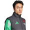 adidas FC Arsenal Tiro 24 European Winterized Weste 2024/25 Herren