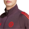 adidas FC Bayern München Tiro 24 Trainingsanzug 2024/25 Herren