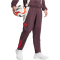 adidas FC Bayern München Tiro 24 Präsentationshose 2024/25 Herren