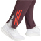 adidas FC Bayern München Tiro 24 Präsentationshose 2024/25 Herren