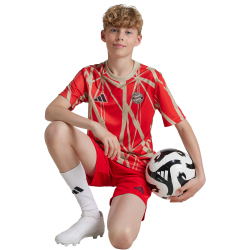 adidas FC Bayern M&uuml;nchen Aufw&auml;rmshirt 2024/25...