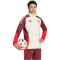 adidas FC Bayern München Tiro 24 European Winterized Sweatshirt 2024/25 Herren
