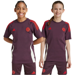 adidas FC Bayern M&uuml;nchen Tiro 24 T-Shirt 2024/25 Kinder